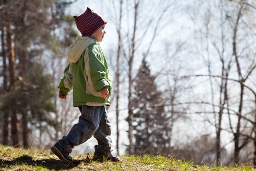 Family outdoor walk - little child boy in forest