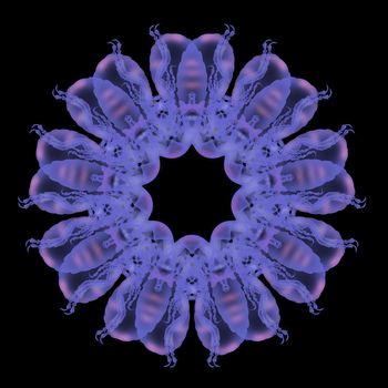 illustration of fractals in spiral shapes