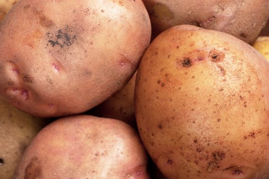 A heap of potatoes