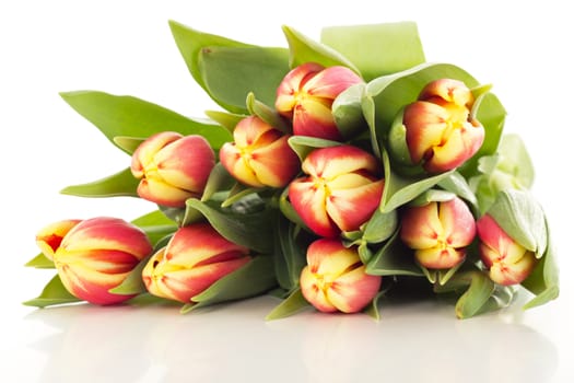 Bunch of tulips
