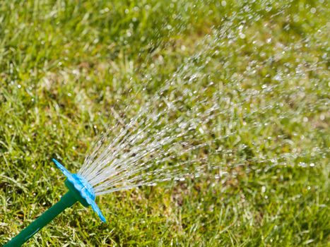 Sprinkler water spray drop on wet green grass lawn