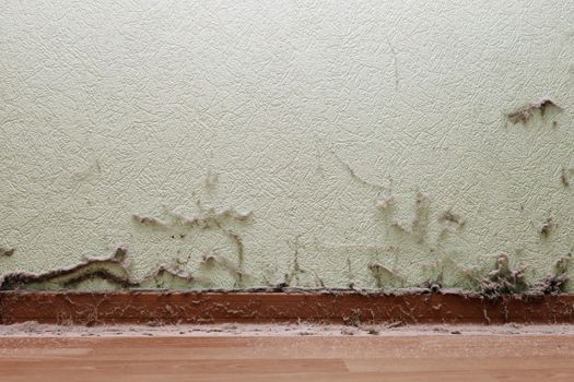 Old dirty house room interior with dust and spider web on wall and floor