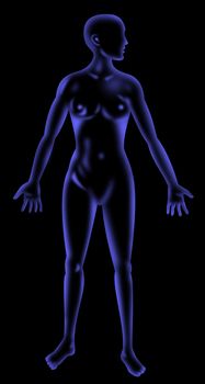 illustration on the human anatomy showing a female standing on isolated background done in x-ray style 
