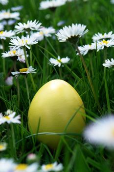 colorful Easter egg in the fresh  spring meadow