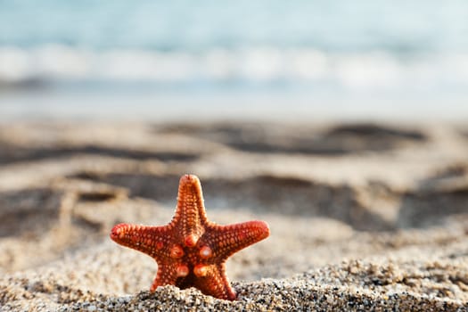 Summer vacations - starfish on blue sea sand beach