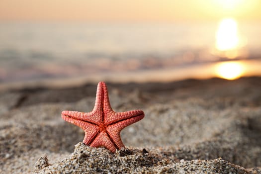 Summer vacations - starfish on sunset sea sand beach