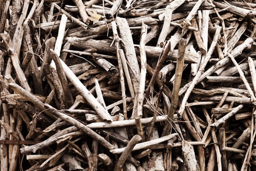 Wood forest tree log pile or stack background