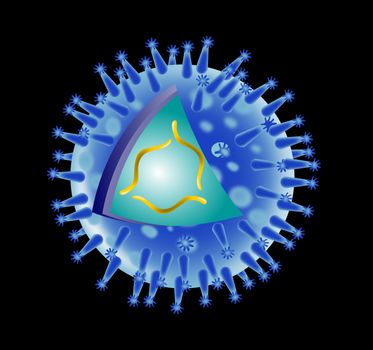 illustration of a flu virus structure on isolated background