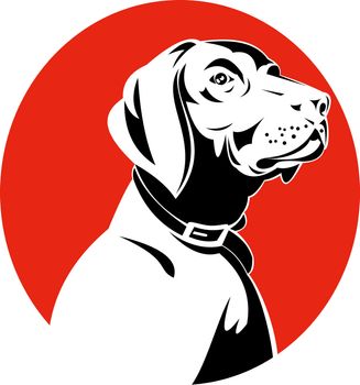 illustration of a golden labrador retriever dog head done in retro woodcut style.