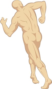 illustration on the human anatomy showing a male walking on isolated background