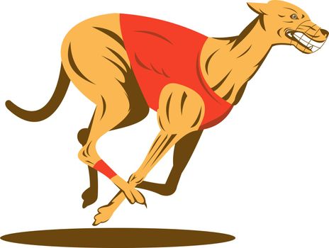 illustration of a greyhound dog racing on isolated white background