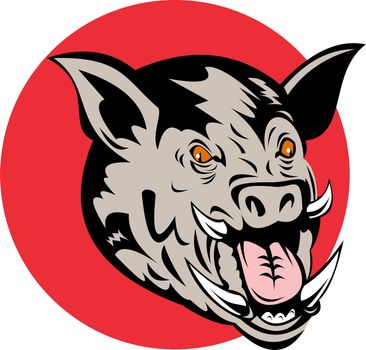 illustration of a wild pig boar razorback on isolated background done in retro style