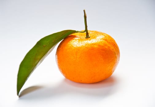 orange fruit on white background