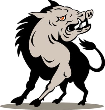 illustration of a wild pig boar razorback on isolated background done in retro style
