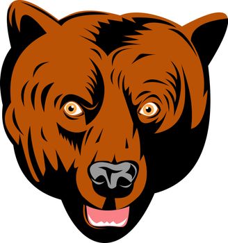 Illustration of a grizzly or brown bear head facing front done in retro woodcut style.