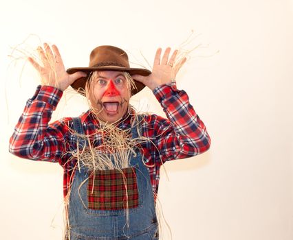 Scarecrow making funy face or scaring birds away!  Could be saying Nah Nah Nah.