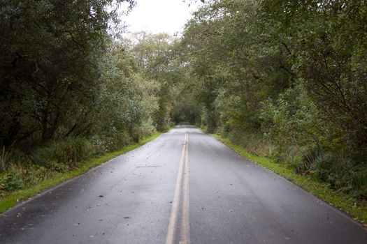 Road stretching far ahead.