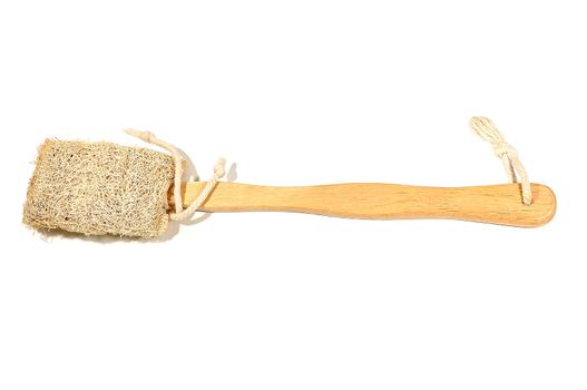Brush for cleaning the shower is made of luffa.