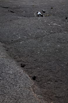 Hiker collapses in heat of lava field.