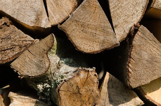background of stacked chopped firewood stump parts
