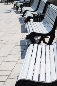 white benches in a park
