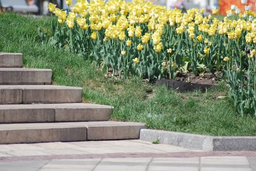 staircase and flowerbed in a park at the spring 