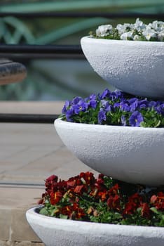 colorful three rows  - flowerbed in city park