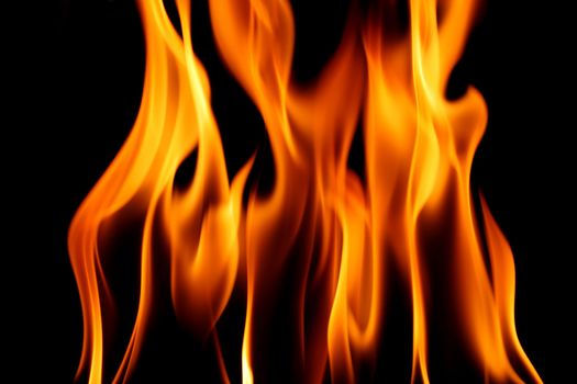 fire on black close up abstract background