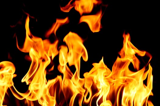 fire flame close up on black background