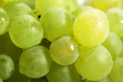 green grape isolated on white background