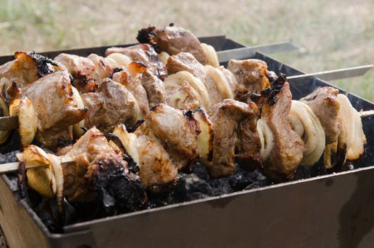 Delicious meat being prepared on grill at outdoors party