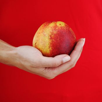 peach in woman hands close up