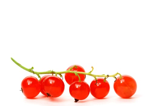 red currant isolated on white background
