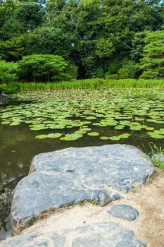 Zen Garden with lotus leaves and a pond in Kyoto, Japan