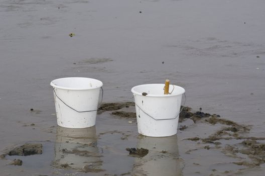 Wadden Sea research field work with white buckets and shovel