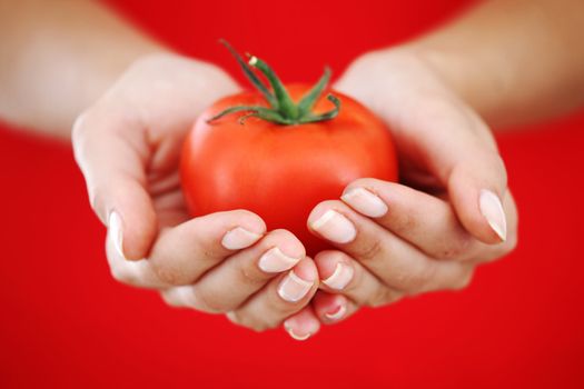 tomato in woman hands close up
