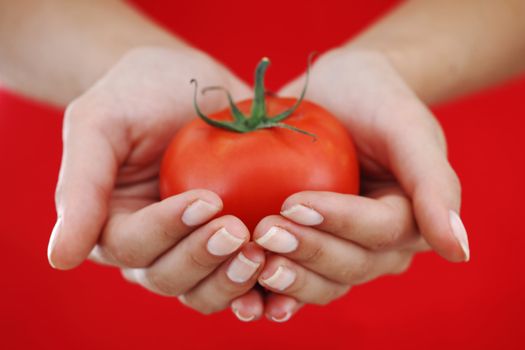 tomato in woman hands close up