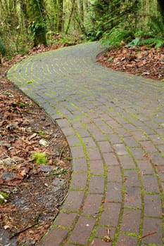 Mossy curved brick path into ferny woods