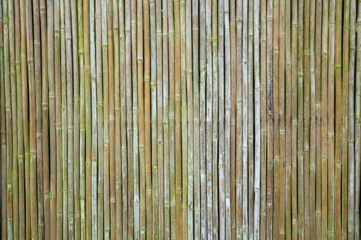 old weathered vertical bamboo wall or curtain