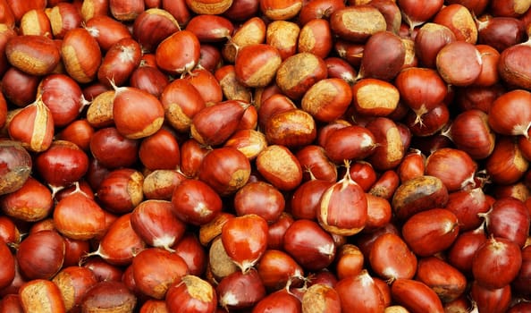 Pile of Brown Chestnuts at the farmers market