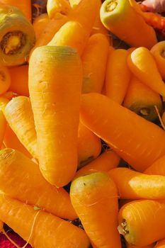 Pile of short fat orange carrots with green tops at the farmers market