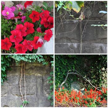 Set natural photo: flowers, plants and stone wall