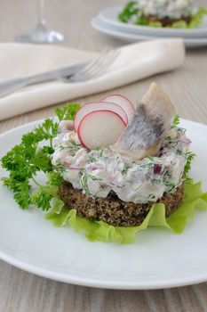 Appetizer of chopped herring, radish and apple and sour cream on a slice of rye bread