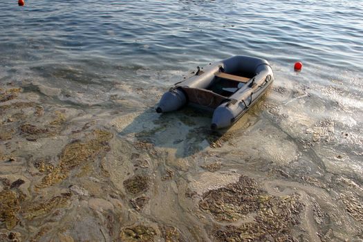 Contaminated sea