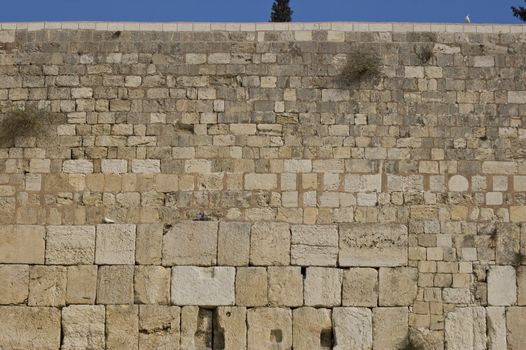 Cut Out Of The Wailing Western Wall.
 Jerusalem, Israel.