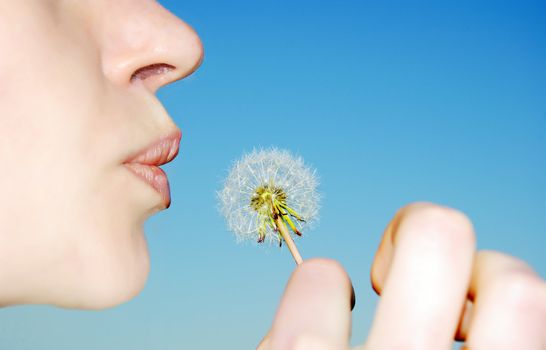 The girl going to to blow at a dandelion (on a background of the blue sky)
