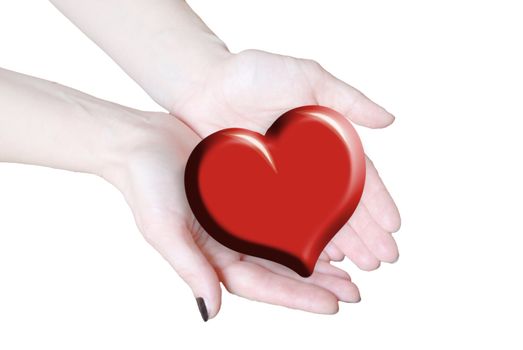 hands holding heart, love or medical concept 