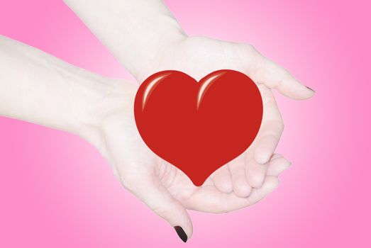 hands holding heart, love or medical concept 