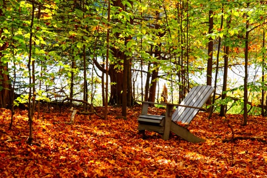 wooden chair in autumn forest leaves