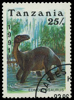 TANZANIA - CIRCA 1991: A stamp printed in Tanzania shows Edmontosaurus, circa 1991